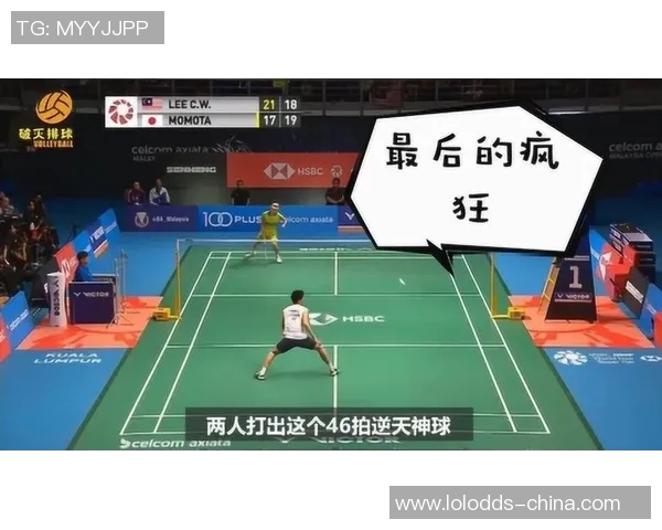 姚明龙的职业生涯与成就全景解析及其对篮球运动的影响